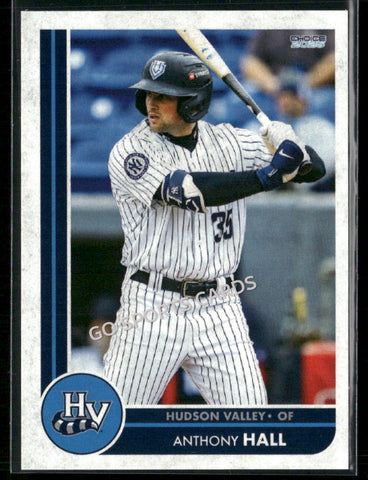 2025 Hudson Valley Renegades Anthony Hall