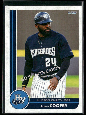 2025 Hudson Valley Renegades James Cooper