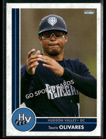 2025 Hudson Valley Renegades Teuris Olivares