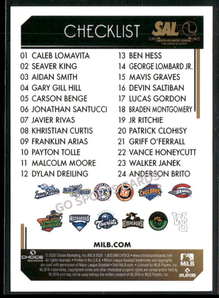 2025 South Atlantic League Top Prospects SAL Header Checklist