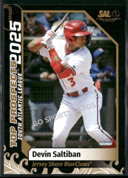 2025 South Atlantic League Top Prospects SAL Devin Saltiban