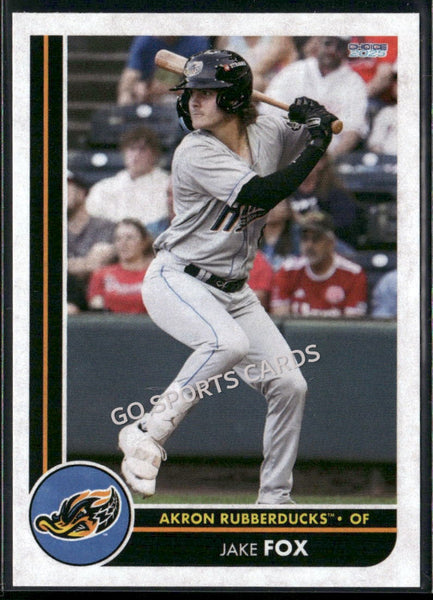 2025 Akron RubberDucks Jake Fox