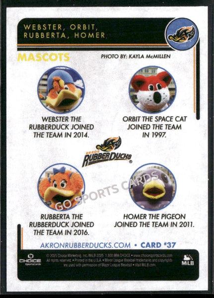2025 Akron RubberDucks Mascot