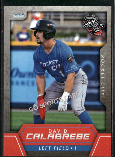 2025 Rocket City Trash Pandas David Calabrese