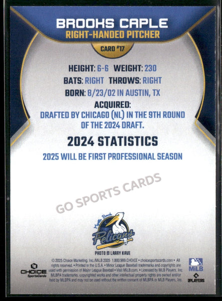 2025 Myrtle Beach Pelicans Brooks Caple