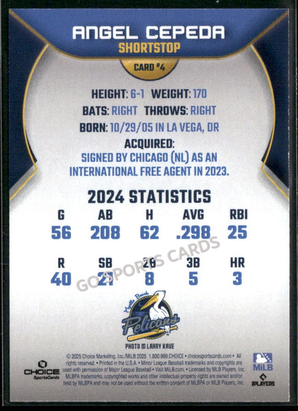 2025 Myrtle Beach Pelicans Angel Cepeda