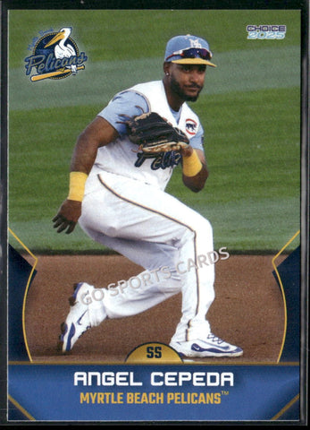 2025 Myrtle Beach Pelicans Angel Cepeda