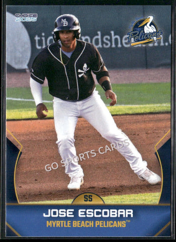 2025 Myrtle Beach Pelicans Jose Escobar
