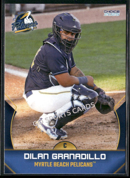 2025 Myrtle Beach Pelicans Dilan Granadillo