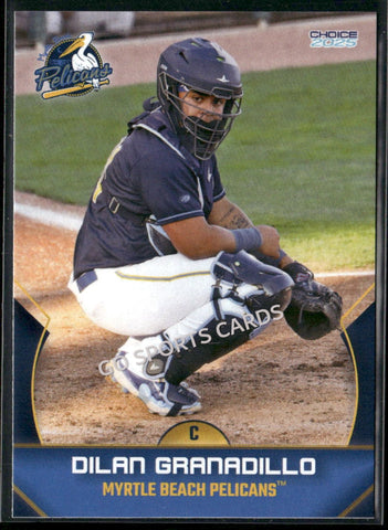 2025 Myrtle Beach Pelicans Dilan Granadillo