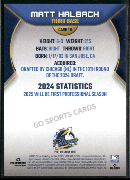 2025 Myrtle Beach Pelicans Matt Halbach