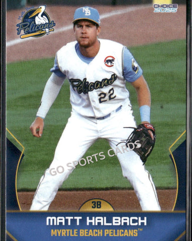 2025 Myrtle Beach Pelicans Matt Halbach