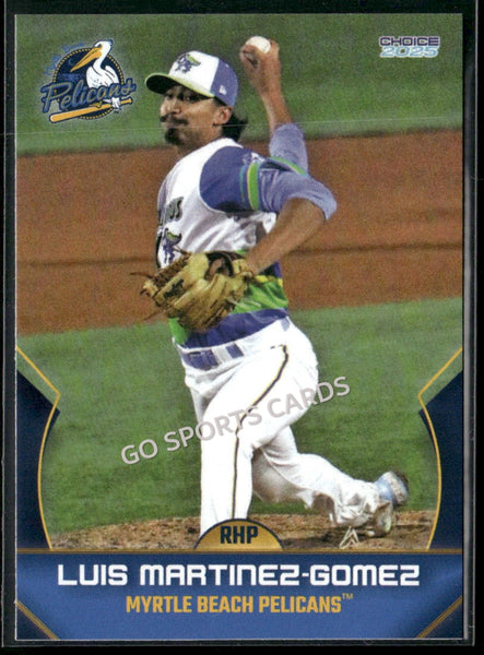 2025 Myrtle Beach Pelicans Luis Martinez Gomez