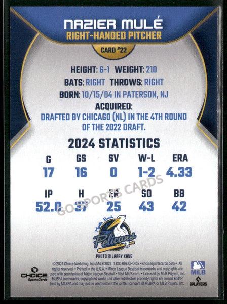 2025 Myrtle Beach Pelicans Nazier Mule