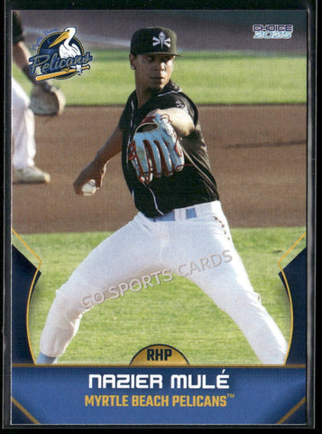 2025 Myrtle Beach Pelicans Nazier Mule