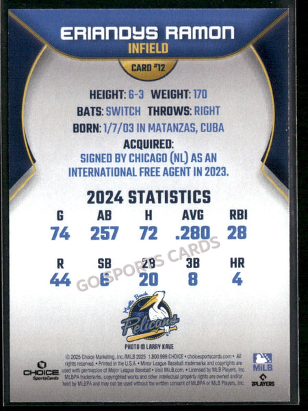 2025 Myrtle Beach Pelicans Eriandys Ramon