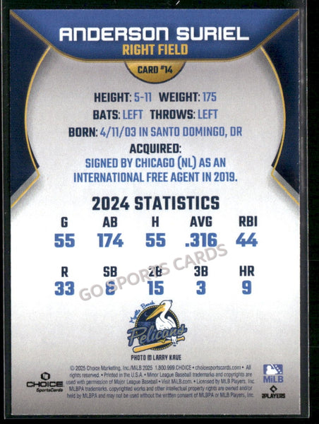 2025 Myrtle Beach Pelicans Anderson Suriel