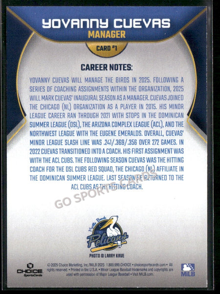 2025 Myrtle Beach Pelicans Yovanny Cuevas