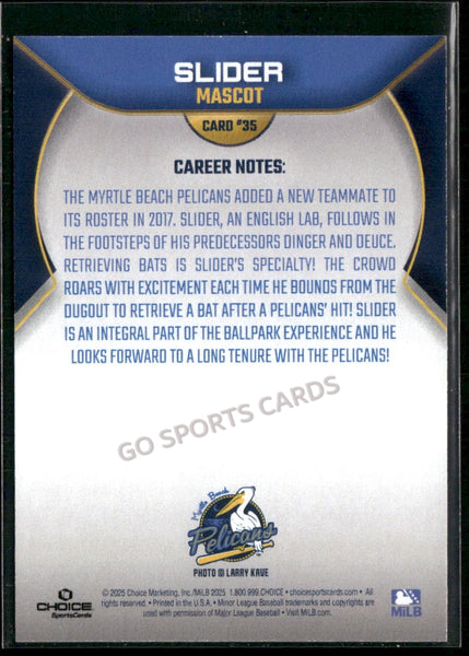 2025 Myrtle Beach Pelicans Slider Mascot