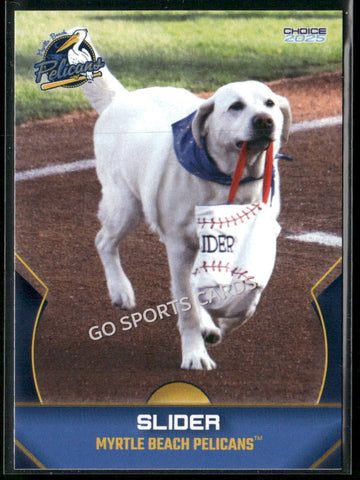 2025 Myrtle Beach Pelicans Slider Mascot