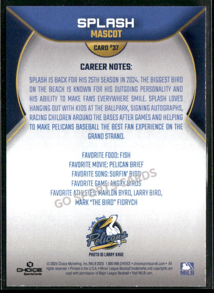 2025 Myrtle Beach Pelicans Splash Mascot