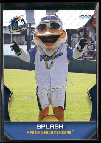 2025 Myrtle Beach Pelicans Splash Mascot