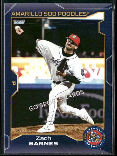 2025 Amarillo Sod Poodles Zach Barnes