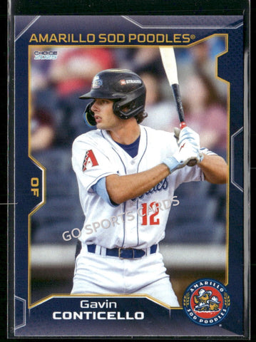 2025 Amarillo Sod Poodles Gavin Conticello