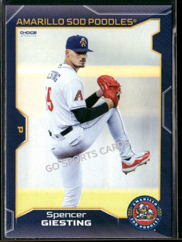 2025 Amarillo Sod Poodles Spencer Giesting