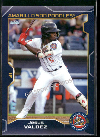 2025 Amarillo Sod Poodles Jesus Valdez