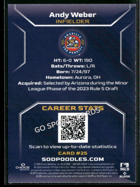 2025 Amarillo Sod Poodles Andy Weber