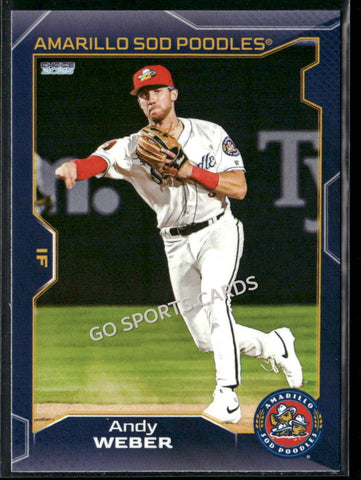 2025 Amarillo Sod Poodles Andy Weber