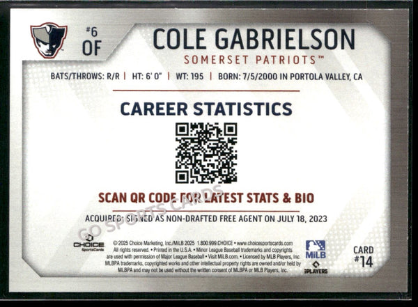 2025 Somerset Patriots Cole Gabrielson