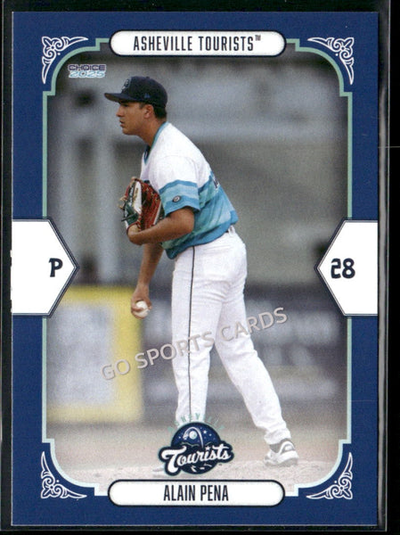 2025 Asheville Tourists Alain Pena