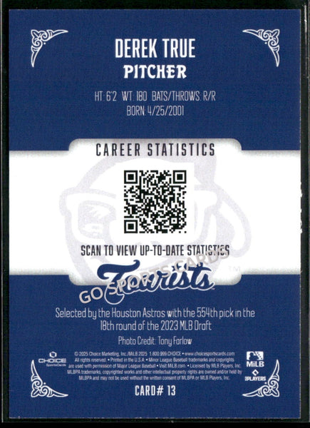 2025 Asheville Tourists Derek True