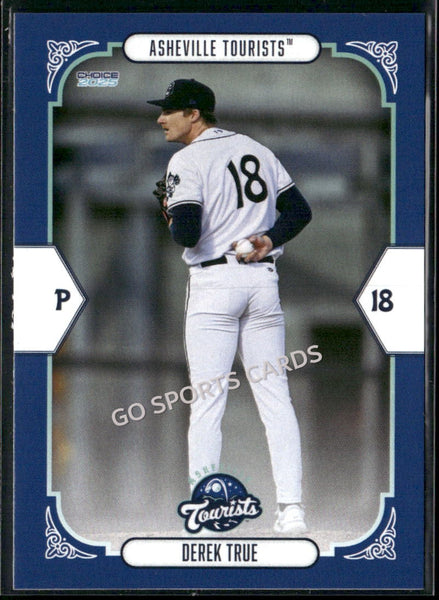 2025 Asheville Tourists Derek True