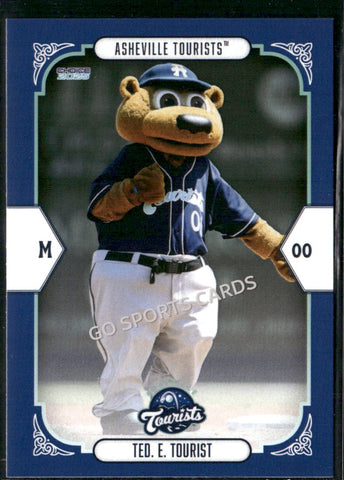 2025 Asheville Tourists Ted E Tourist Mascot