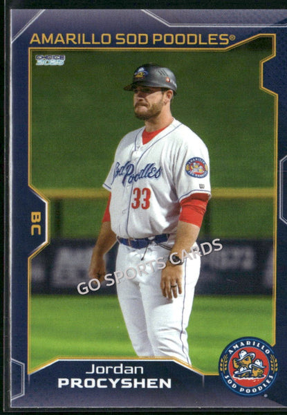2025 Amarillo Sod Poodles Jordan Procyshen