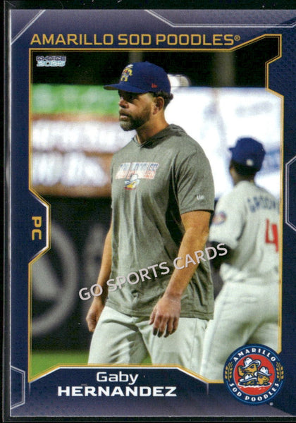 2025 Amarillo Sod Poodles Gaby Hernandez