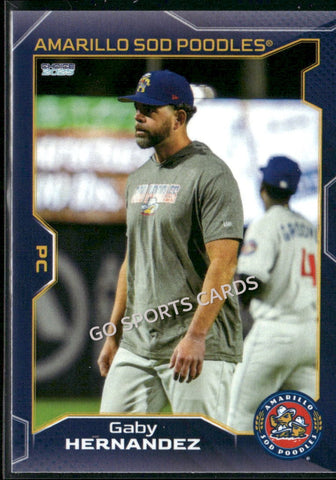2025 Amarillo Sod Poodles Gaby Hernandez