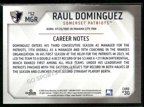 2025 Somerset Patriots Raul Dominguez