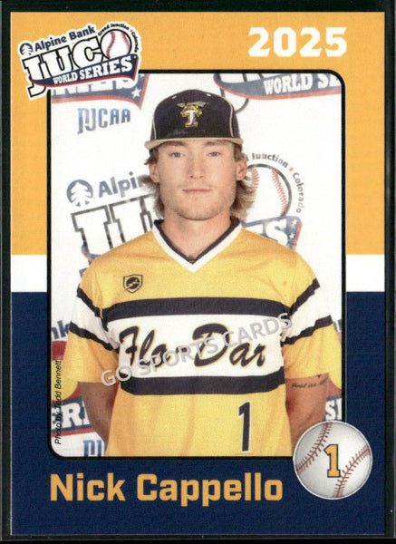 2025 Florence Darlington Tech Stingers JUCO Nick Cappello