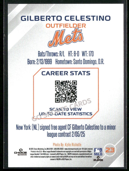 2025 Syracuse Mets Gilberto Celestino