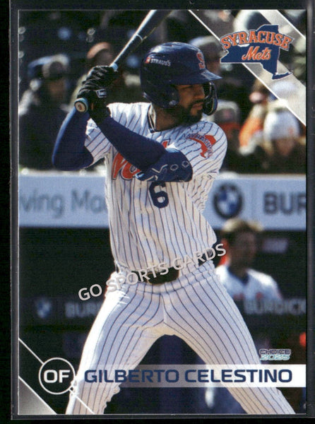 2025 Syracuse Mets Gilberto Celestino