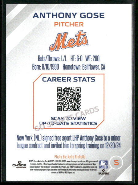 2025 Syracuse Mets Anthony Gose