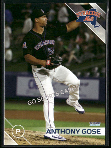 2025 Syracuse Mets Anthony Gose