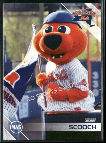 2025 Syracuse Mets Scooch Mascot