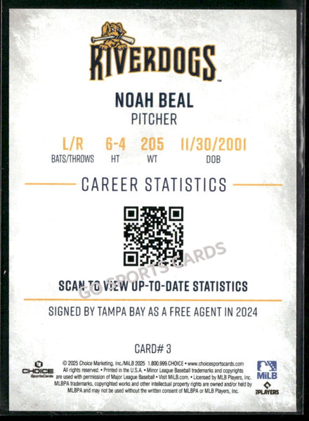 2025 Charleston RiverDogs Noah Beal