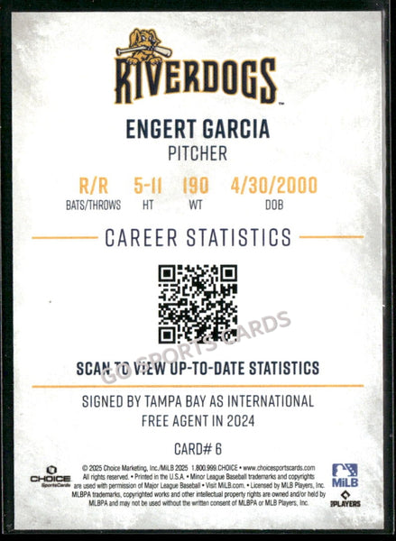 2025 Charleston RiverDogs Engert Garcia