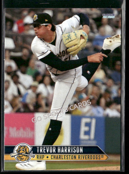 2025 Charleston RiverDogs Trevor Harrison